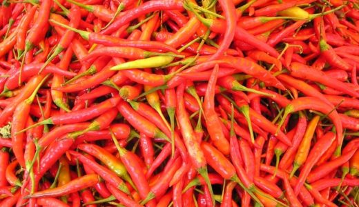 Food Junction｜Avenue K